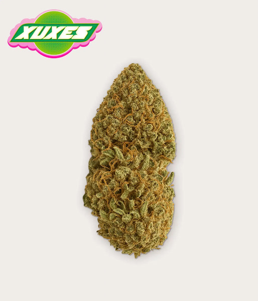 Critical Guava CBD > Xuxes | Productos CBD